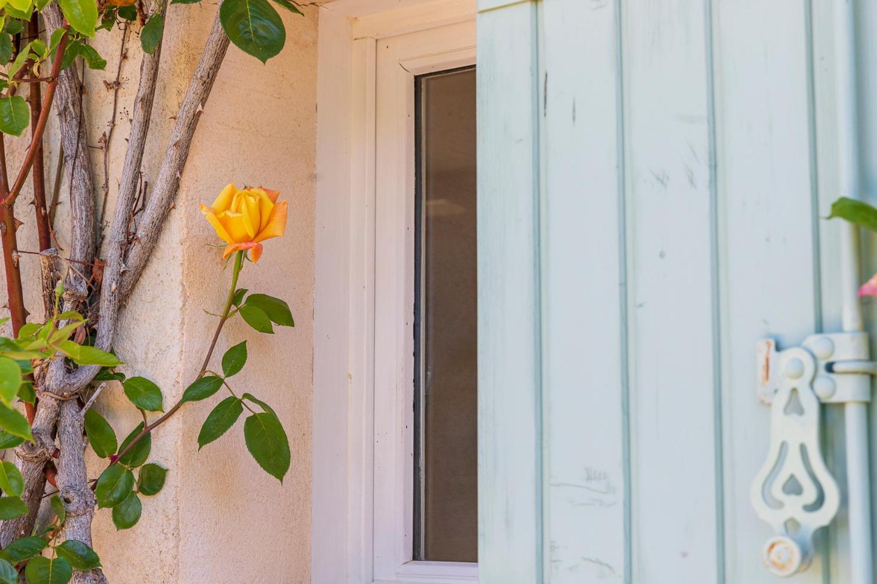 La Ferme Du Petit Segries Bed And Breakfast 무스티에생마리 외부 사진