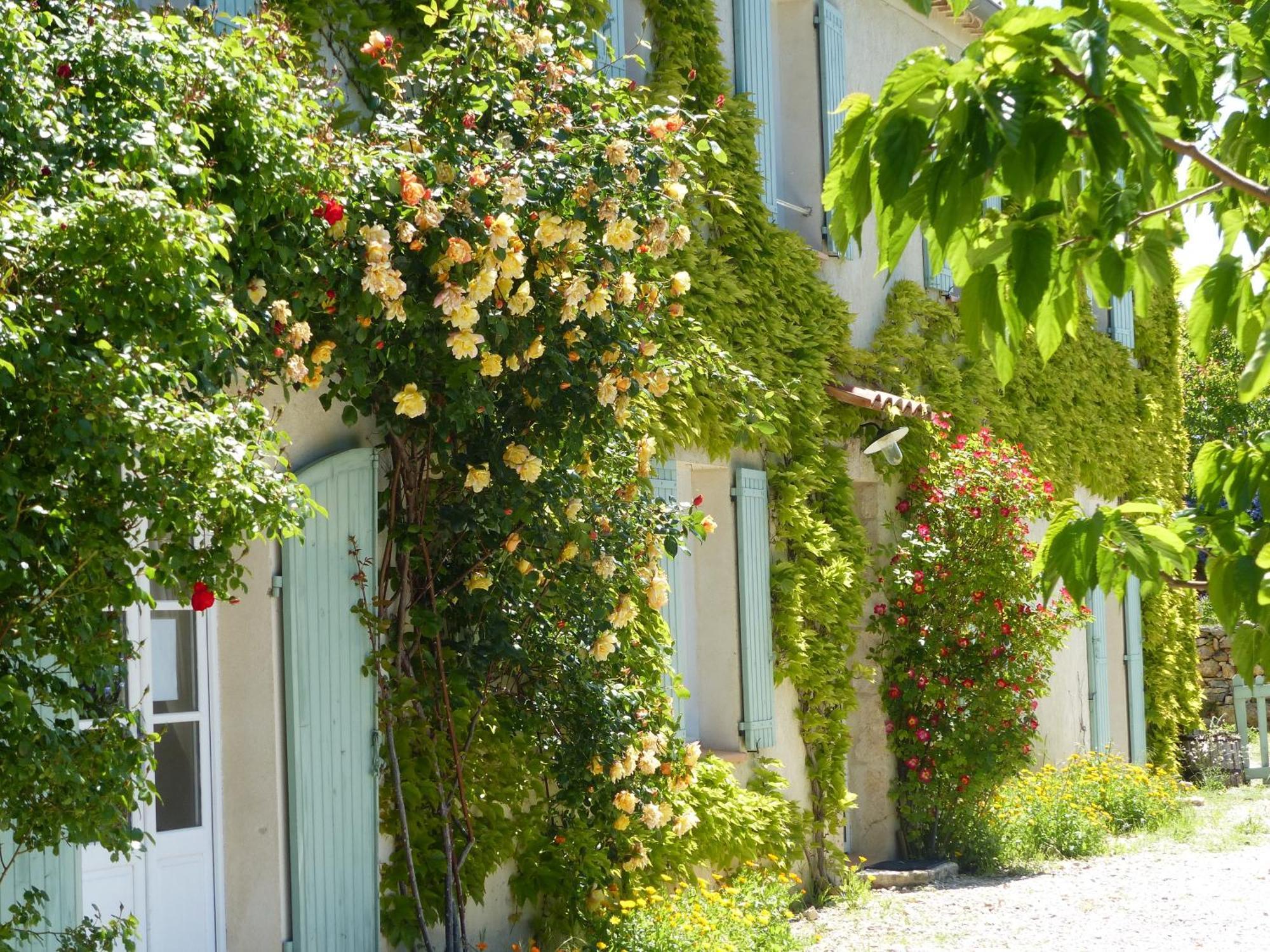 La Ferme Du Petit Segries Bed And Breakfast 무스티에생마리 객실 사진