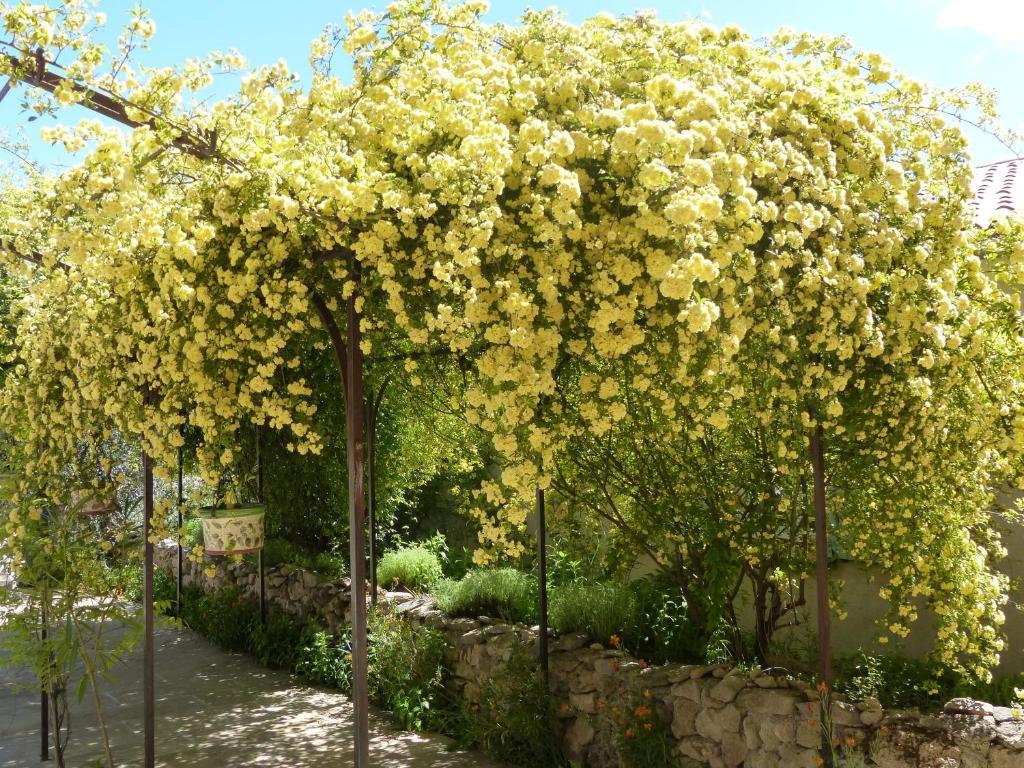 La Ferme Du Petit Segries Bed And Breakfast 무스티에생마리 외부 사진