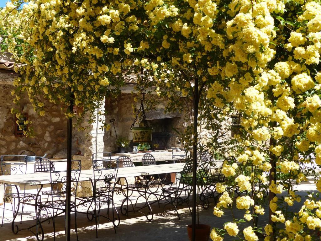La Ferme Du Petit Segries Bed And Breakfast 무스티에생마리 외부 사진